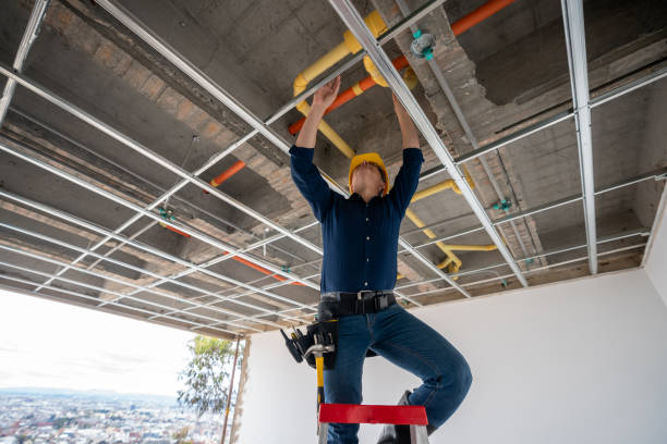 Best Plumbing Services Near Me  in Medina, OH